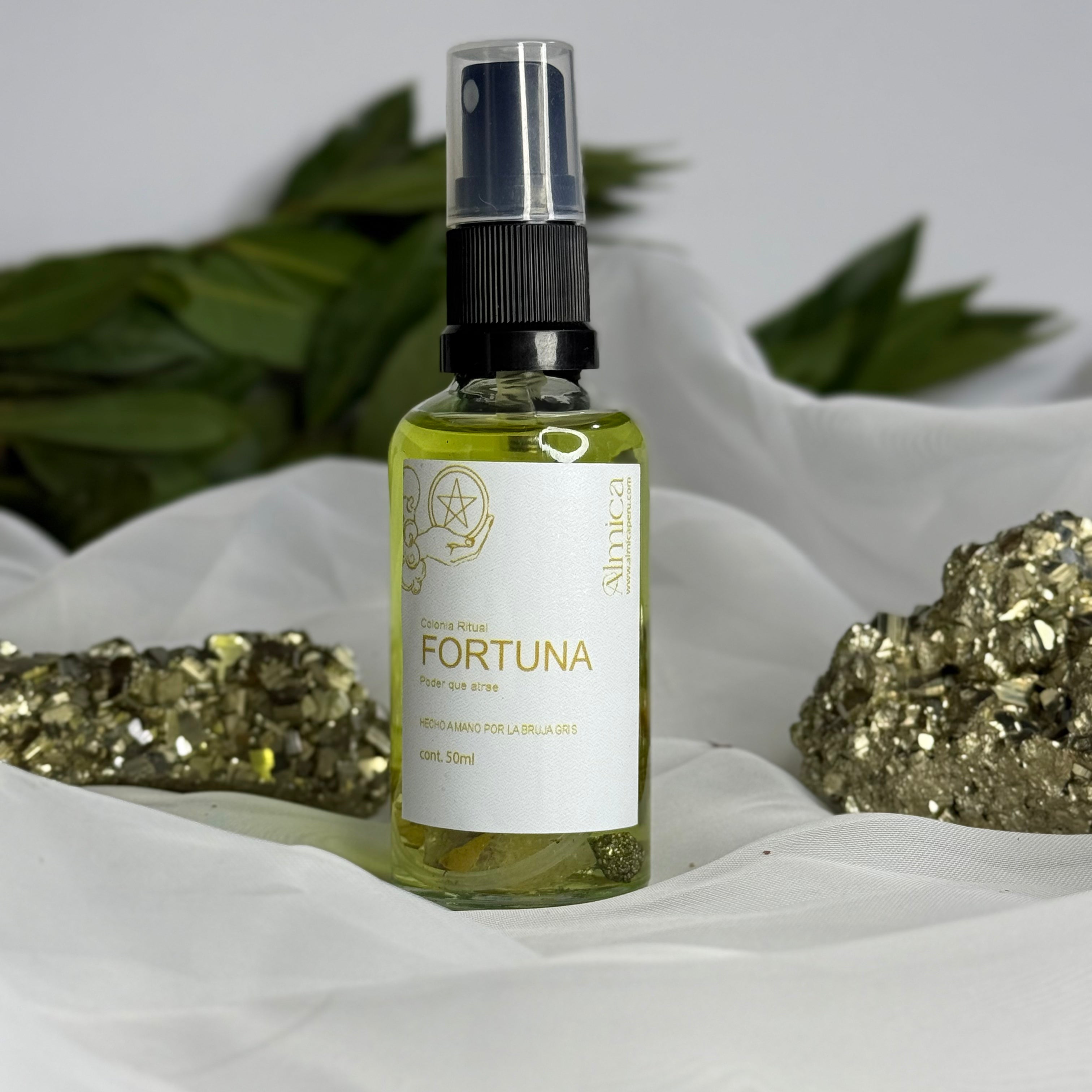 Colonia Fortuna