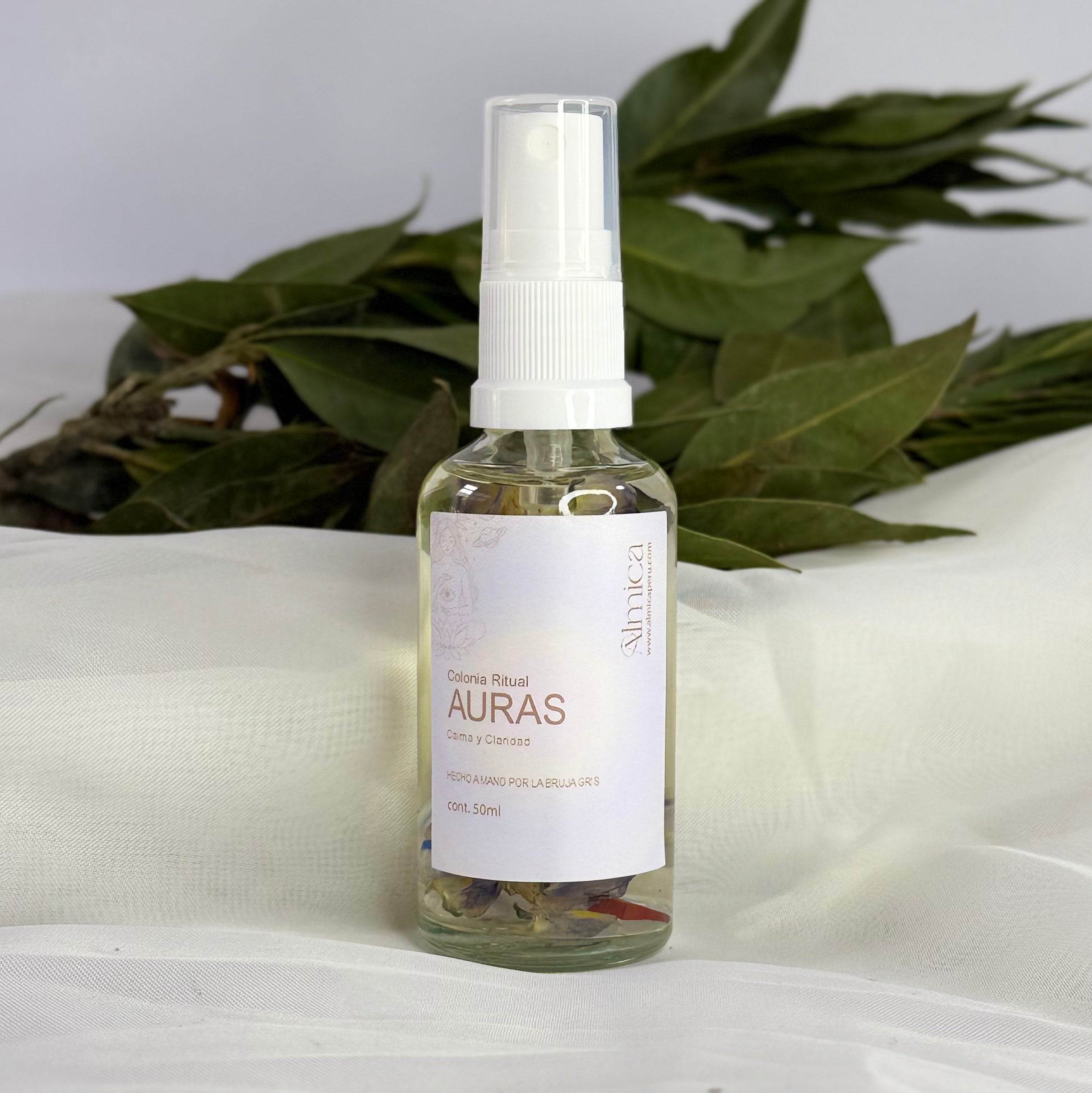 Colonia Auras