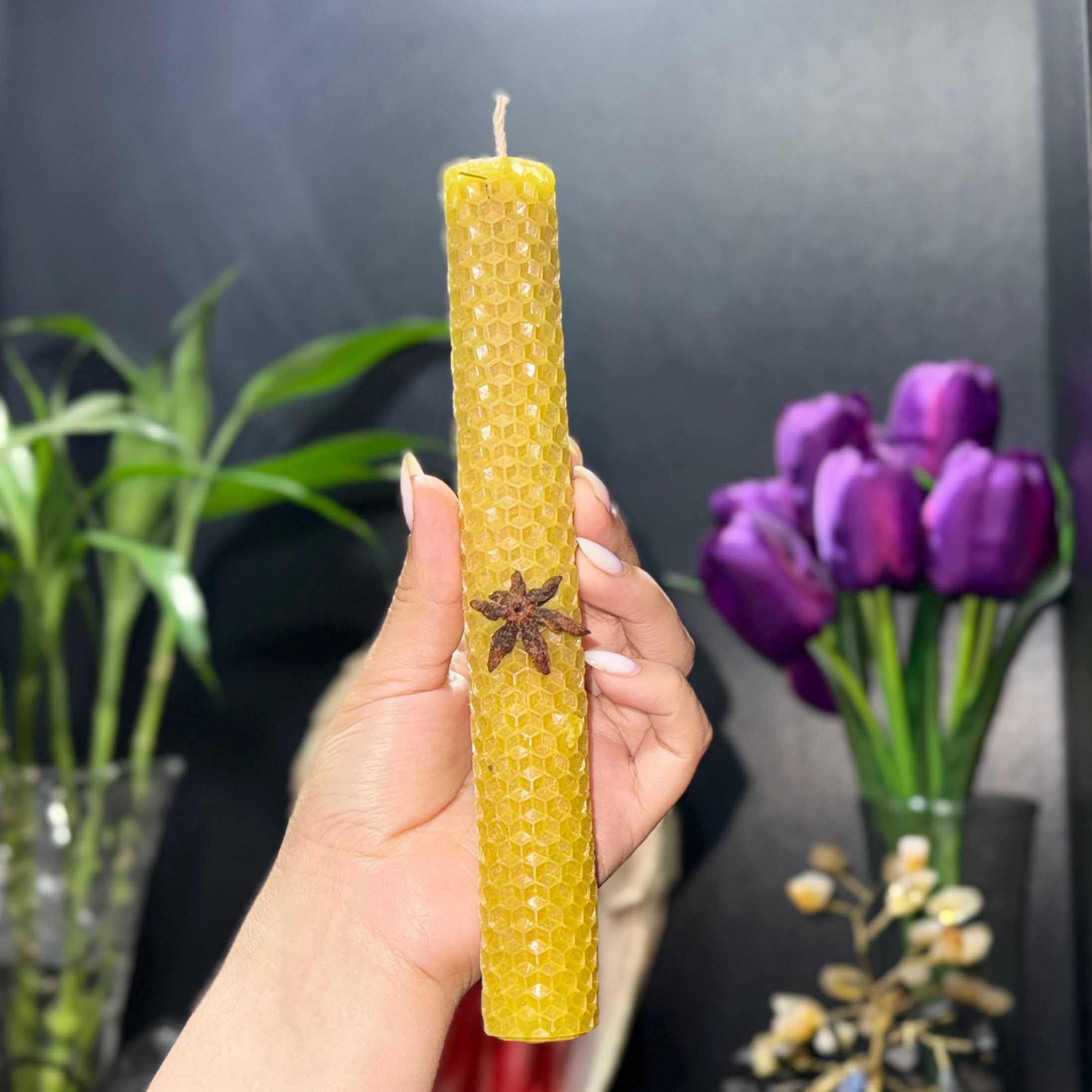 vela de miel manifestadora