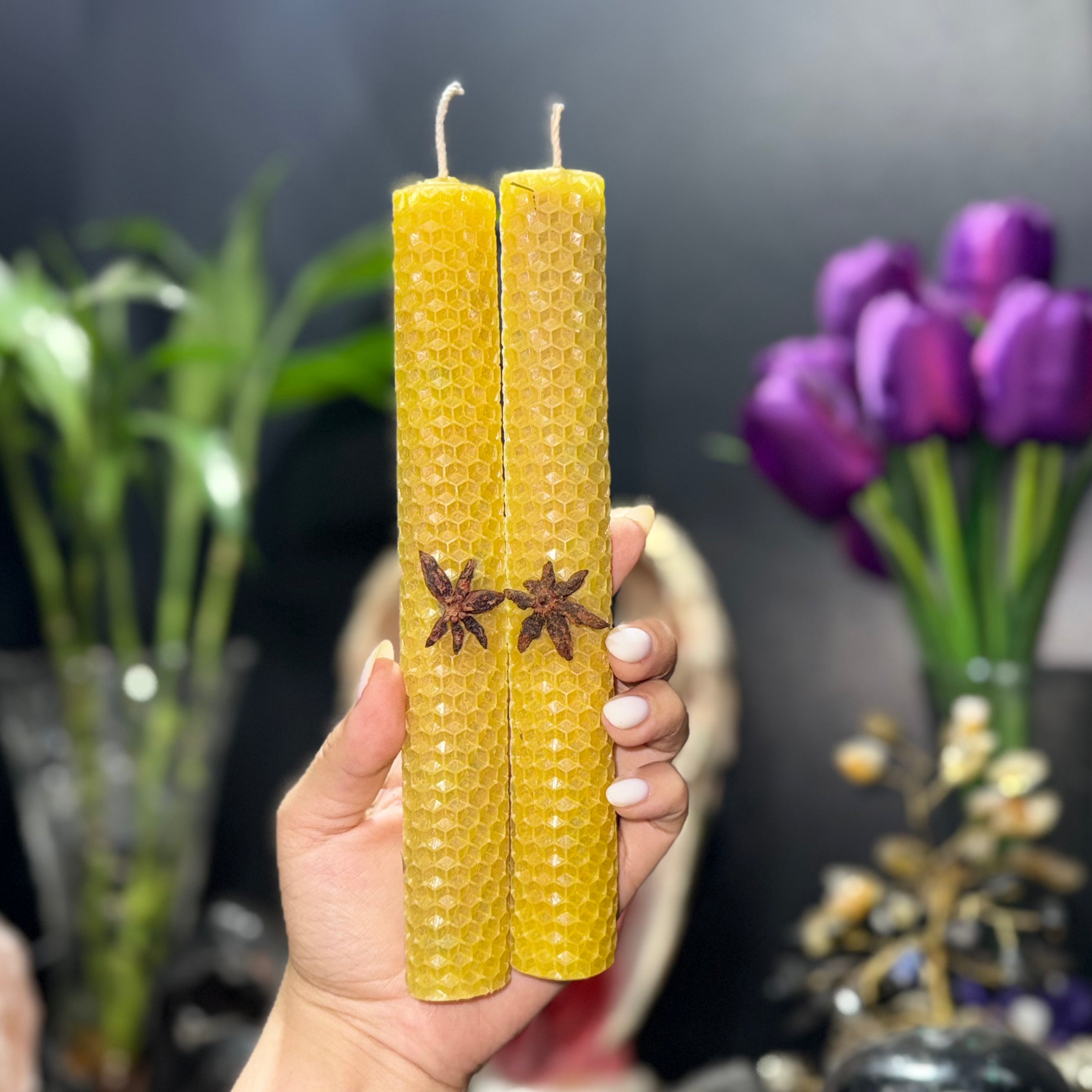 pack vela de miel manifestadora